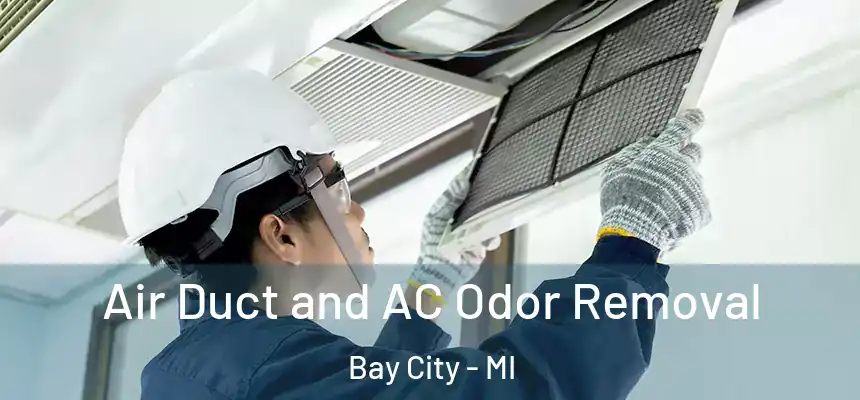  Air Duct and AC Odor Removal Bay City - MI