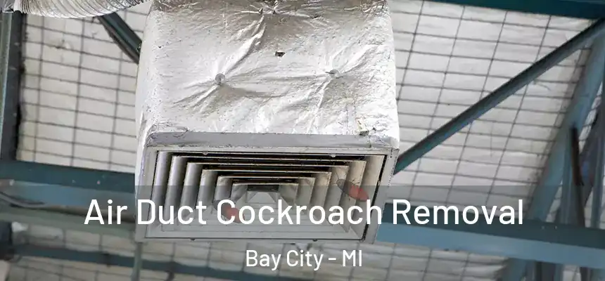  Air Duct Cockroach Removal Bay City - MI