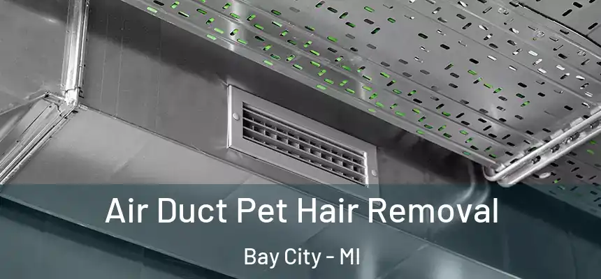 Air Duct Pet Hair Removal Bay City - MI