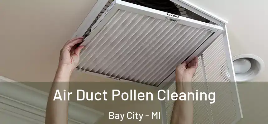  Air Duct Pollen Cleaning Bay City - MI