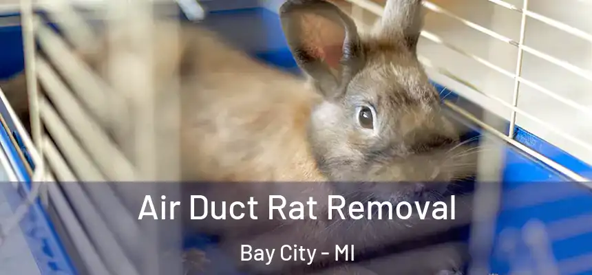  Air Duct Rat Removal Bay City - MI