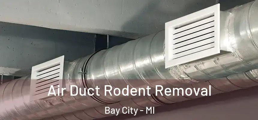  Air Duct Rodent Removal Bay City - MI