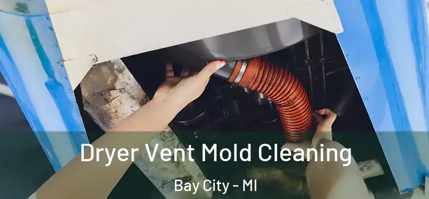  Dryer Vent Mold Cleaning Bay City - MI