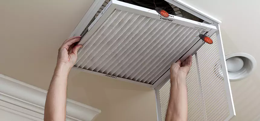 Our Insect Removal from Air Ducts Services in Bay City, MI
