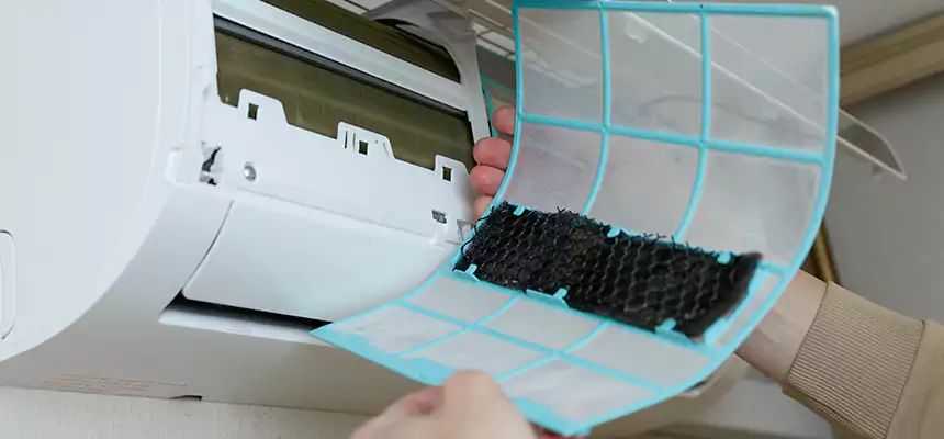 Gentle Ductwork Odor-Control Pet Dander Duct Cleaning in Bay City, MI