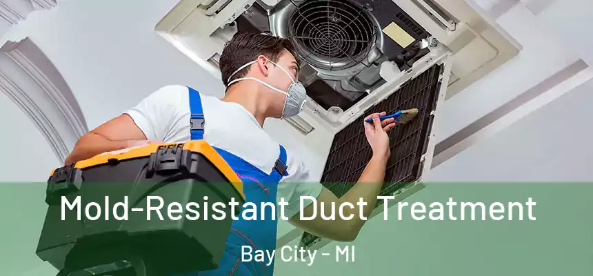 Mold-Resistant Duct Treatment Bay City - MI