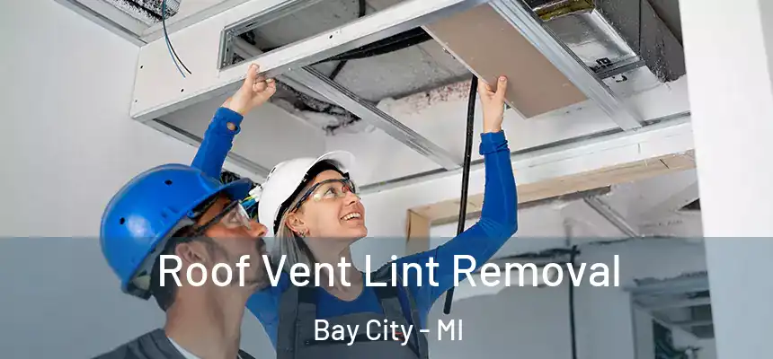  Roof Vent Lint Removal Bay City - MI