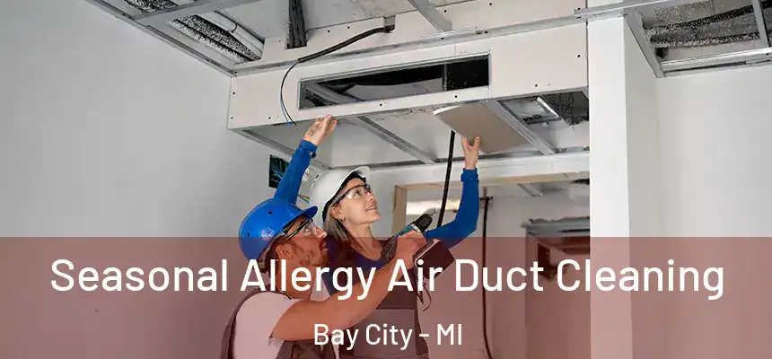 Seasonal Allergy Air Duct Cleaning Bay City - MI