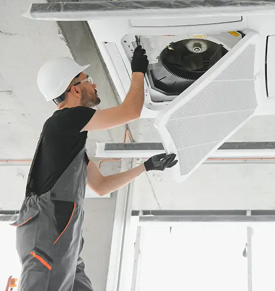 About Air Duct Rodent Removal in Bay City, MI