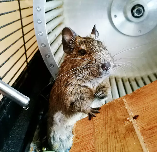 Why Homeowners & Businesses Trust Us Bay City, MI