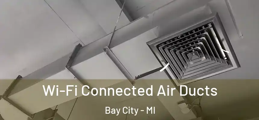  Wi-Fi Connected Air Ducts Bay City - MI